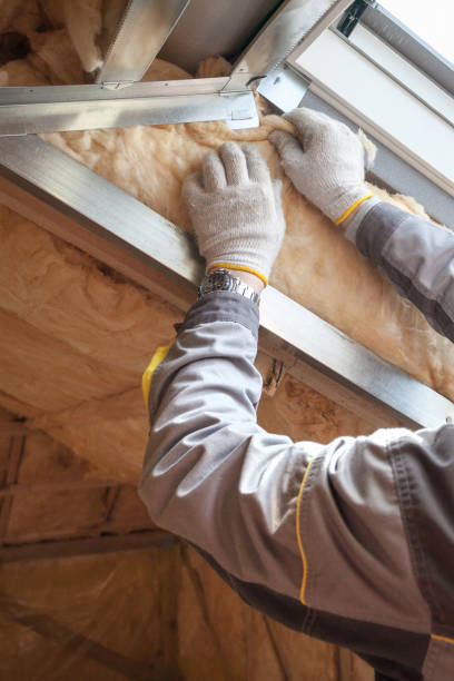 Best Commercial Insulation in Rural Hill, TN